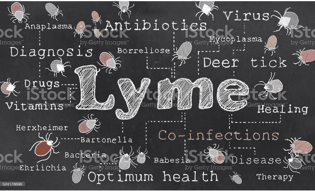 Yolanda Lyme Disease