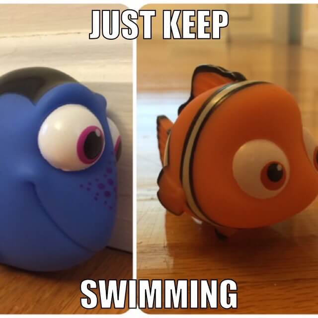 just keep swimming just keep swimming