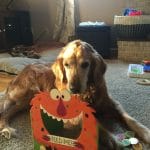 Migraine Therapy Dog: Grieving the Loss of a Pet