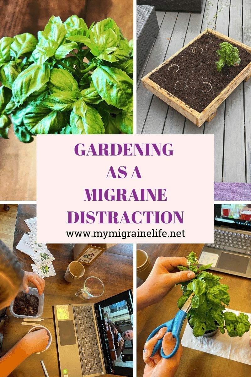 How Gardening Became My Migraine Distraction
